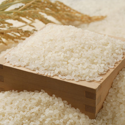 Rice