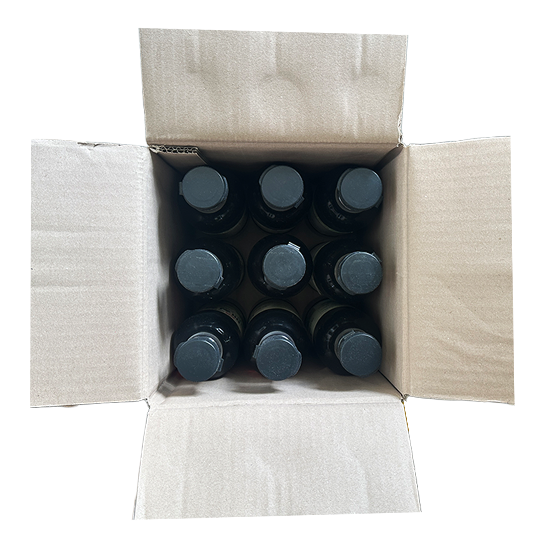 CJ Plum Syrup 1.025kg*9
