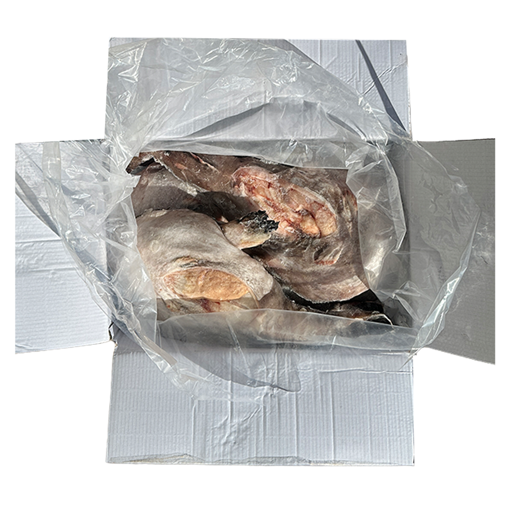 Monk Fish 10kg